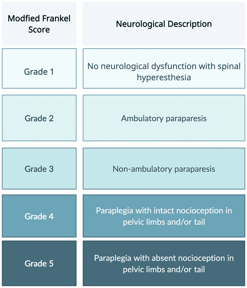 neuro grades diagram