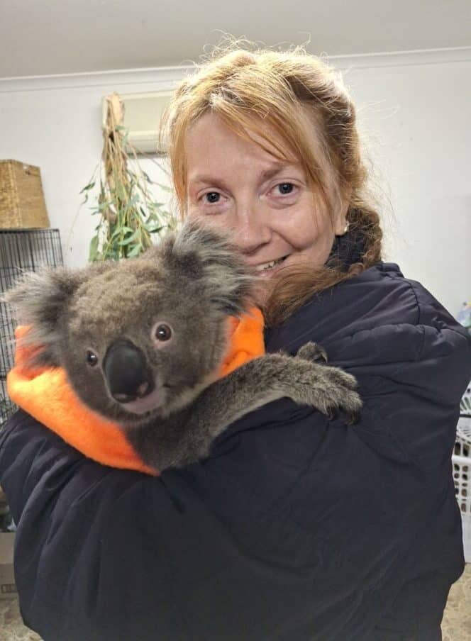 tracey profile pic, shes a wildlife warrior holding a koala