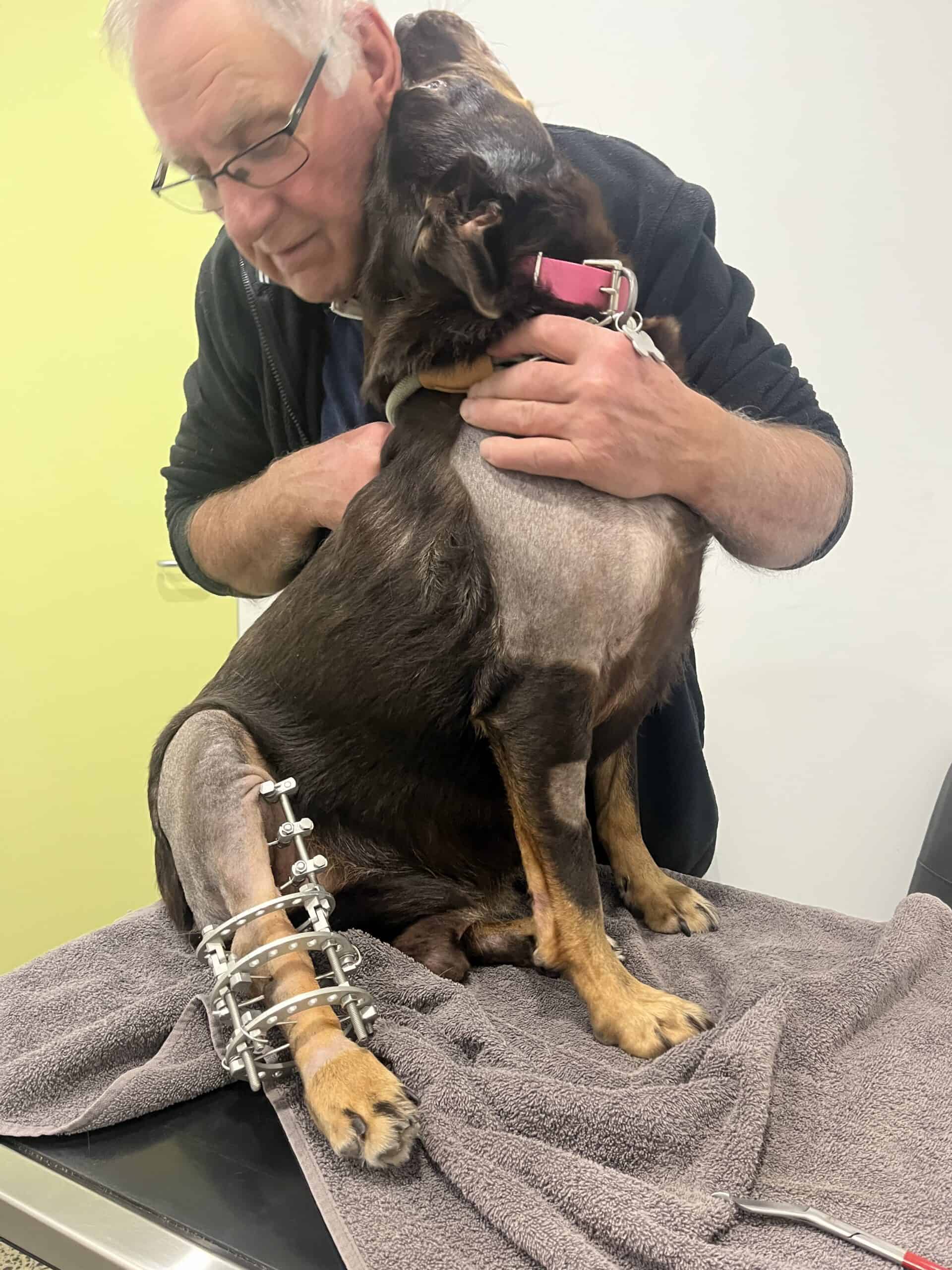 OR picture of vet and vet nurse prepared for surgery