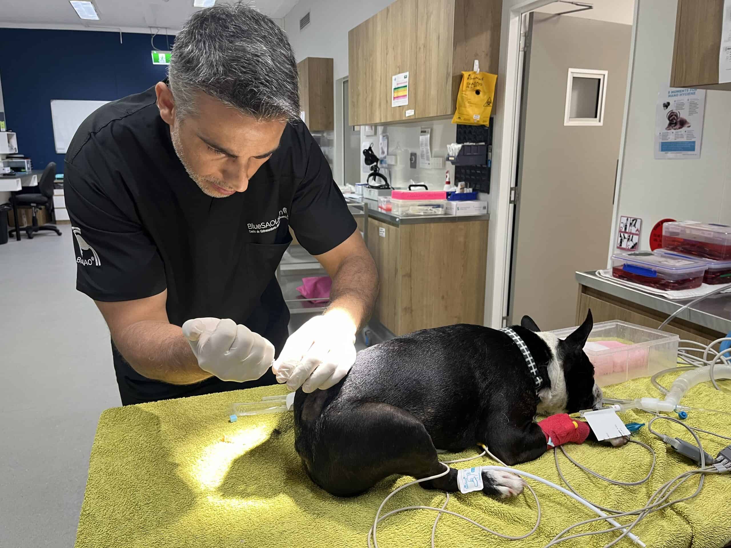 Dr Chris and nurse in surgery